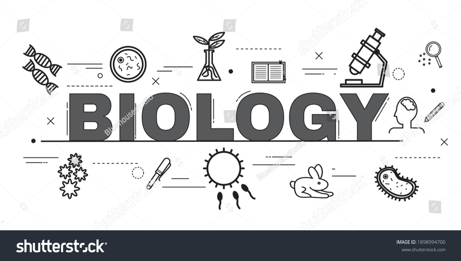 Biología Primero Informática 'A'