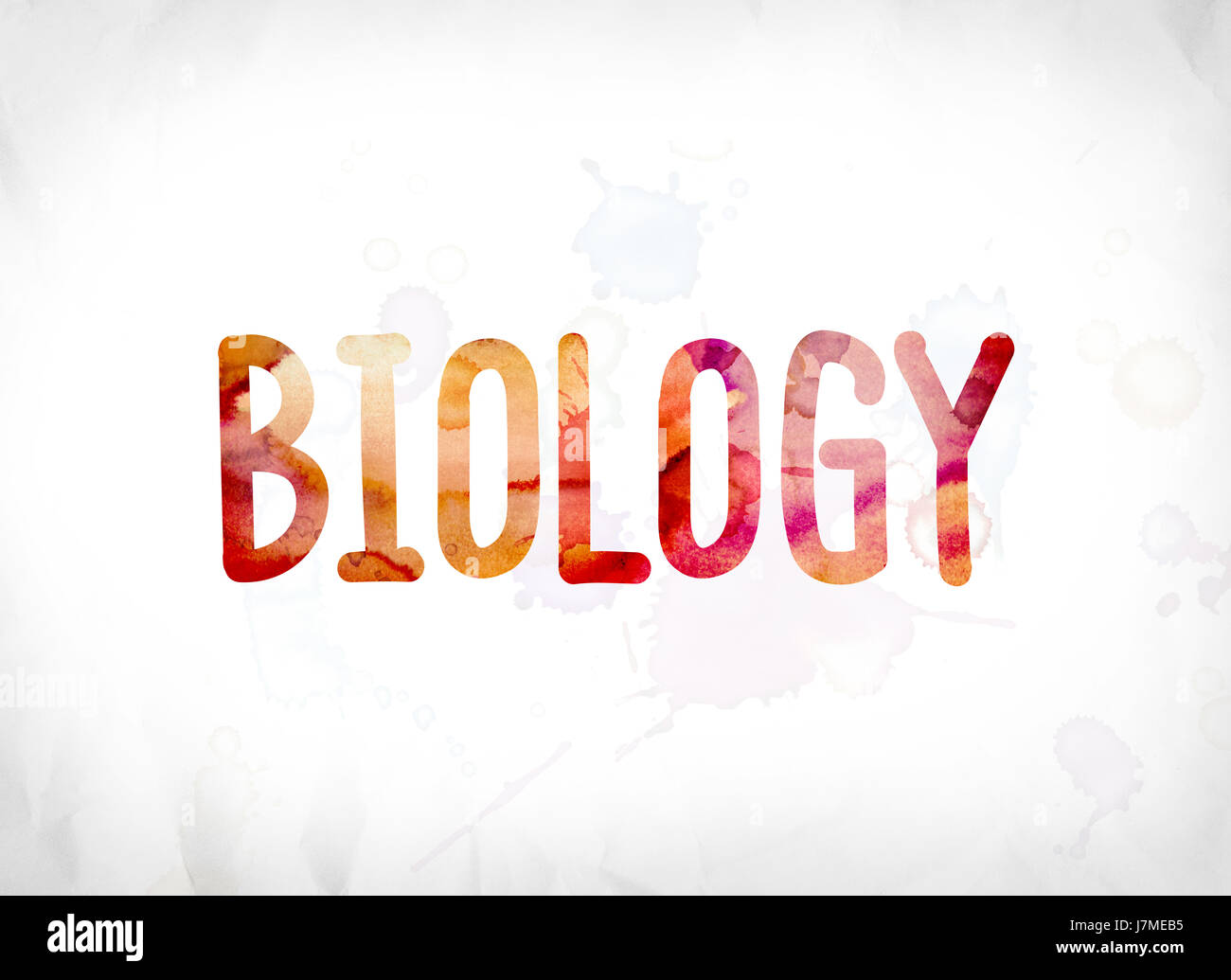 Biología Segundo Informática 'B'